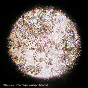 Mikroorganissmen Tunze Filtersack.jpg