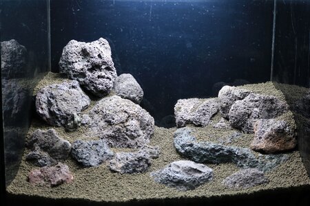 IMG_8032 (Large).jpg