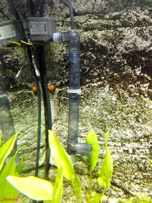 IMG_20170107_115139.jpg