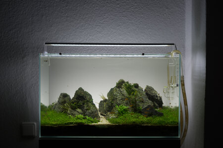 unbenannt-03577-3.jpg