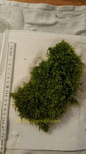 20170112_183330.jpg