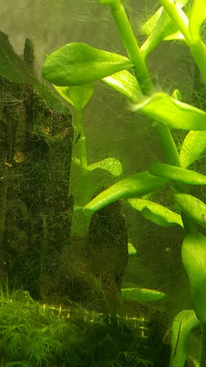 20170111_220910.jpg