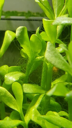 20170111_220927.jpg