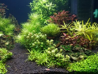 20170202_161424.jpg