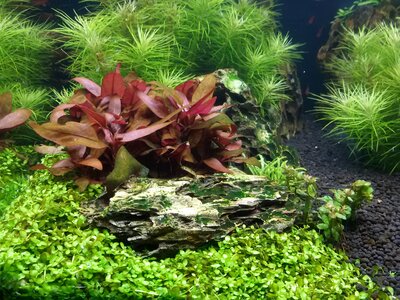20170202_161545.jpg