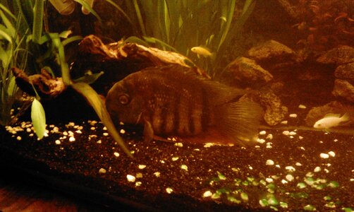 IMAG0239.jpg