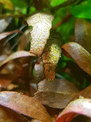 20170206_180049.jpg