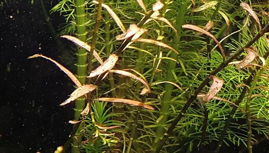 20170210_155040.jpg