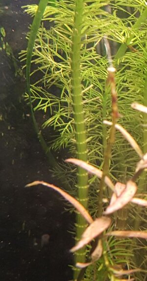 20170210_155054.jpg