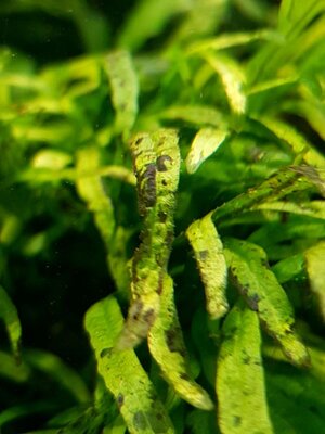 20170210_155154.jpg