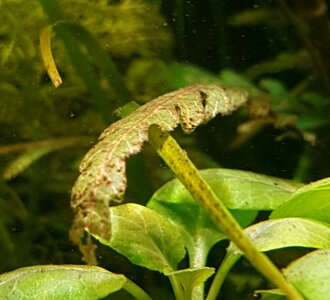 20170210_155216.jpg