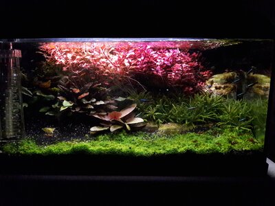 20170120_193510.jpg
