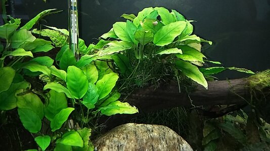 20170216_140541.jpg