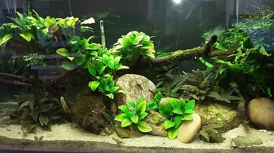 20170216_140554.jpg