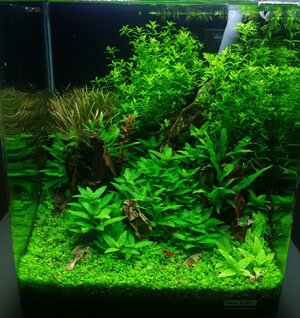 20170217_104820.jpg