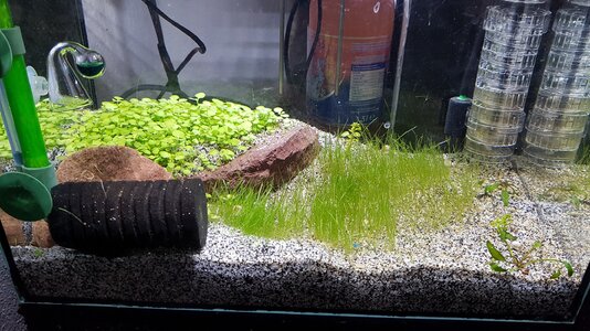 20170329_152613.jpg