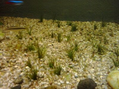 20170413_145712.jpg
