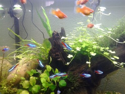 20170413_145706.jpg