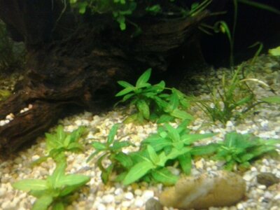 20170413_145735.jpg