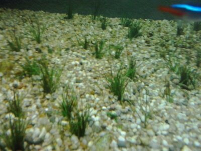 20170413_145739.jpg