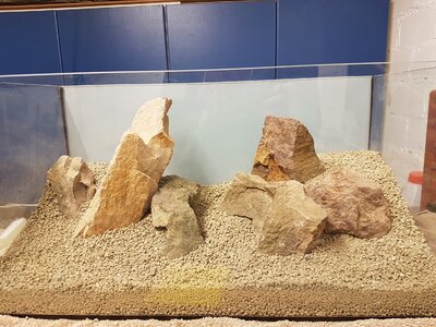 20170414_095303.jpg