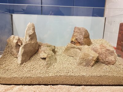 20170414_122831.jpg