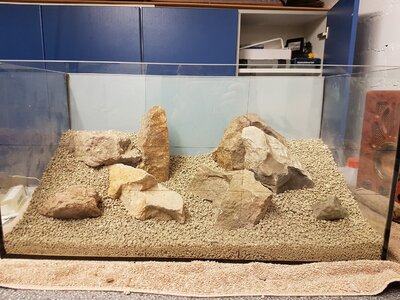 20170414_190348.jpg