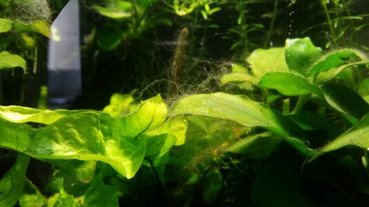 20170421_150730.jpg