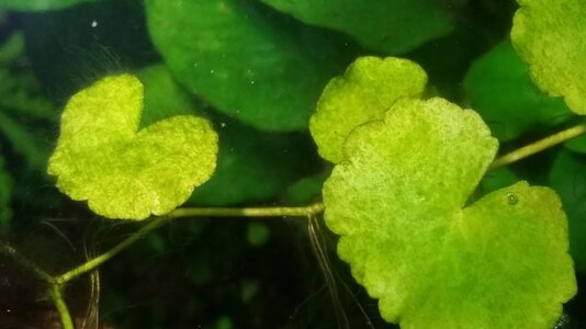 20170421_150921.jpg
