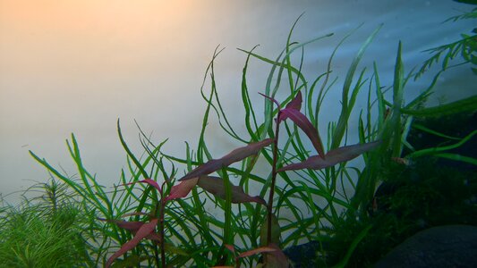 WP_20170422_17_08_42_Pro.jpg