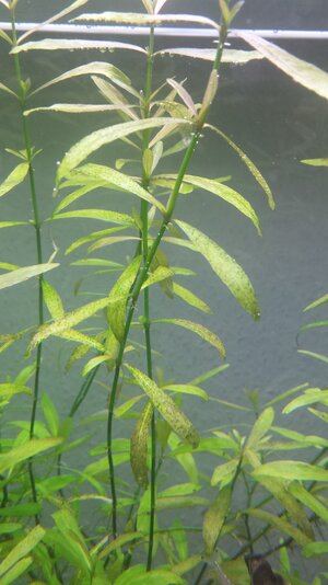 20170428_211804.jpg