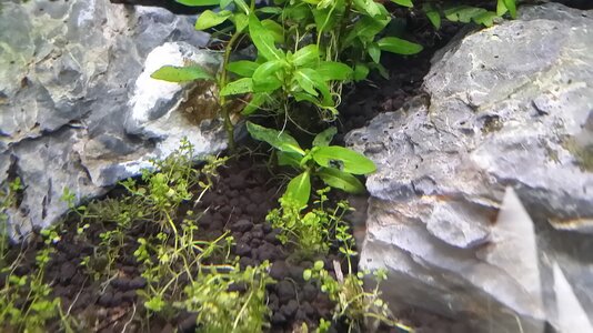 tmp_23750-20170501_130329141018451.jpg