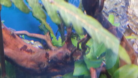 tmp_23750-20170501_130317161867337.jpg