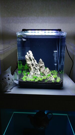 20170427_205128.jpg