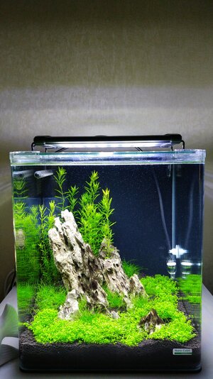 20170519_195447.jpg