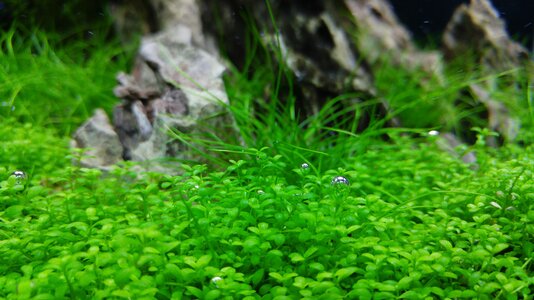20170520_153714.jpg