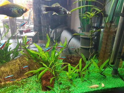 20170615_192016.jpg