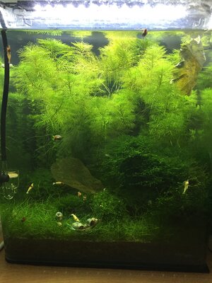 20160710_101511317_iOS.jpg