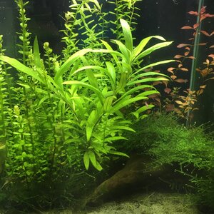 20170706_145118155_iOS.jpg