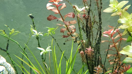 comp_20170726_144054.jpg