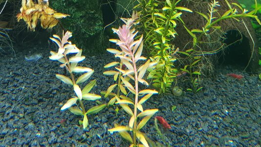 20170801_195729.jpg