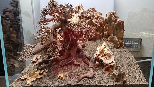 20170525_173711-50-75.jpg