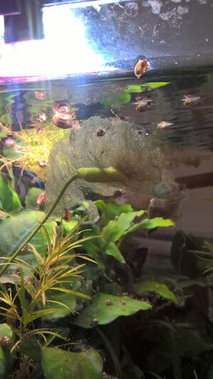 WP_20170907_12_15_41_Pro.jpg