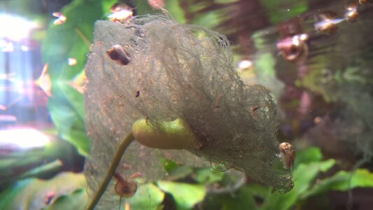 WP_20170907_12_16_14_Pro.jpg