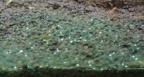 IMG_20170910_193001.jpg