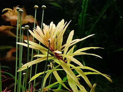 20170923_164529.jpg
