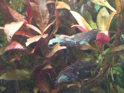 IMG_20170928_103417.jpg