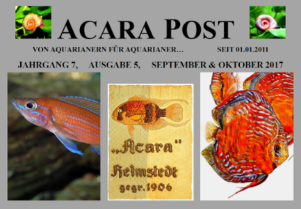 Acara-Post-Bild-Sept.-Okt.2017 - Foren.png