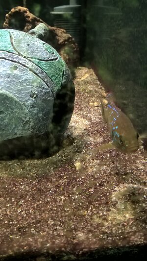 WP_20171003_17_17_52_Pro.jpg