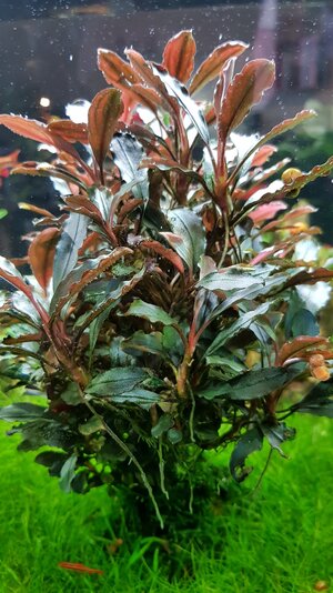 20171009_153939.jpg